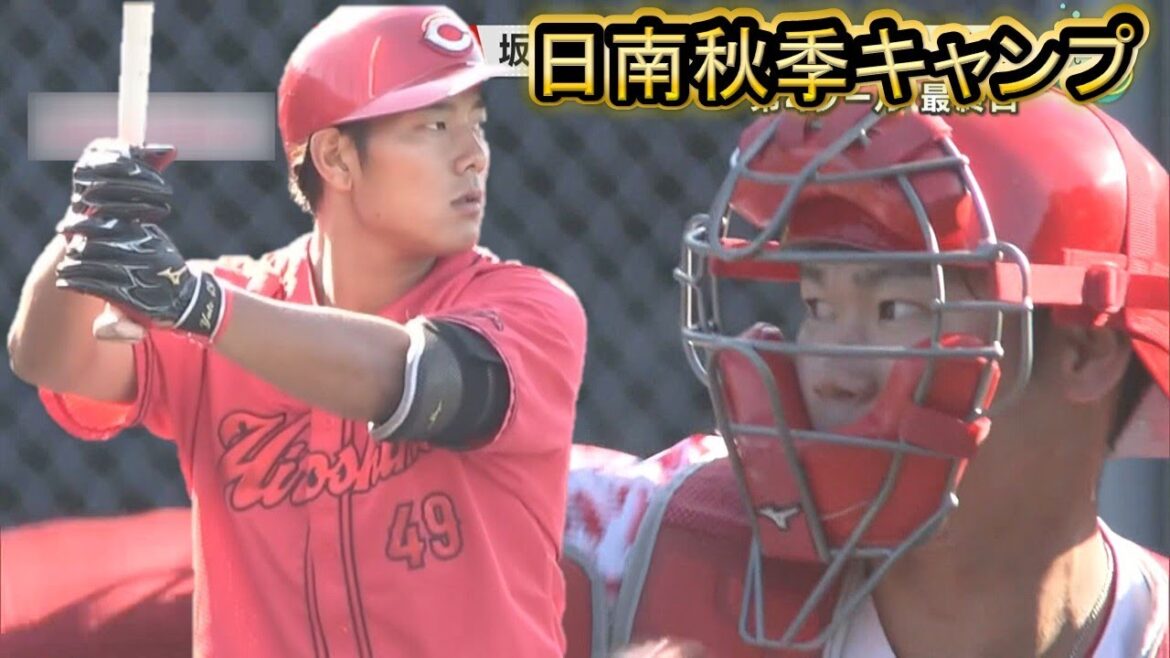 【週末カープ】日南秋季キャンプ 今年最後の対外試合｜渡邉悠斗｜二俣翔一｜常廣羽也斗｜菊地ハルン｜坂倉将吾｜斉藤優汰｜Carp｜勝ちグセ｜ピタニュー