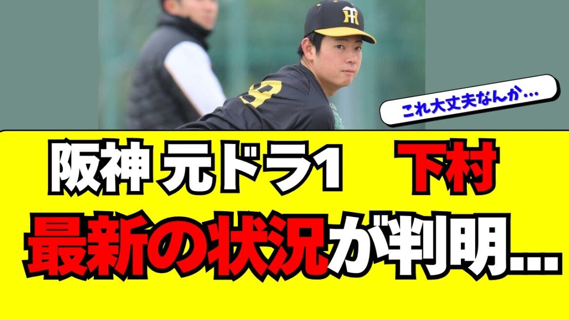 【阪神】ドラフト1位・下村海翔の最新の状況が判明・・・