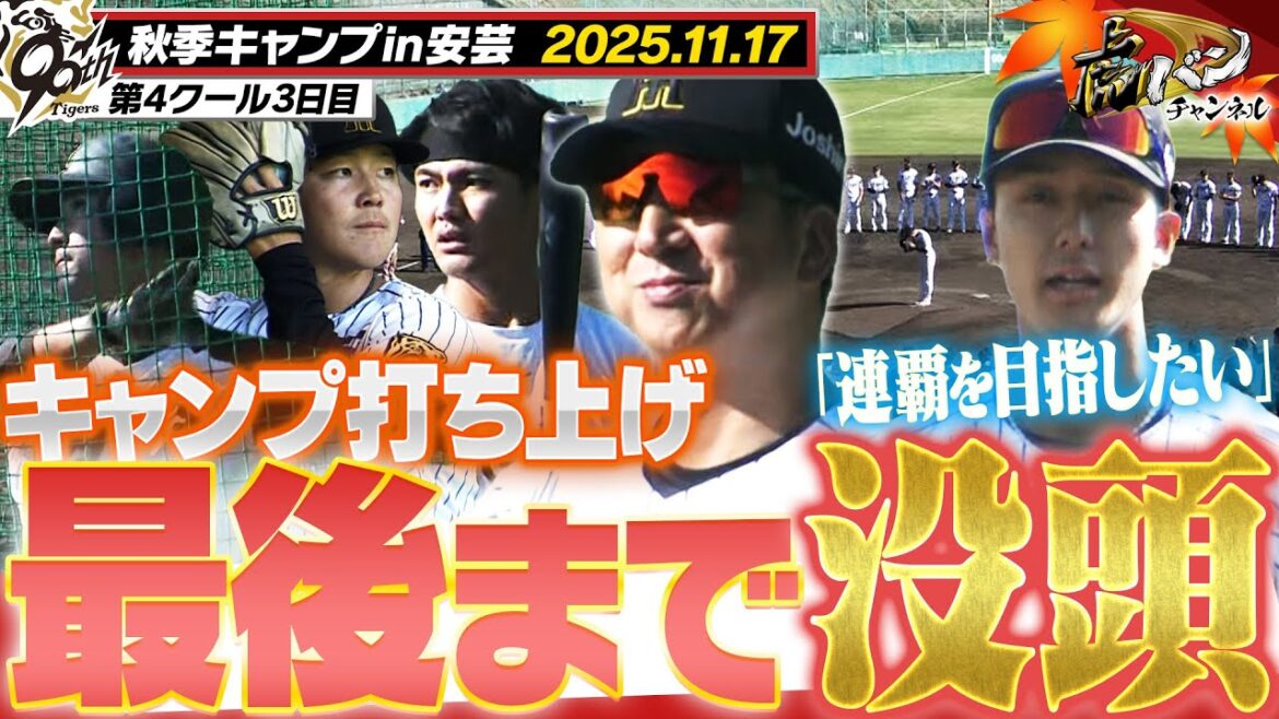 【11月17日秋季キャンプ】安芸もいよいよ最終日!小幡が今年を締めくくる!!阪神タイガース密着!応援番組「虎バン」ABCテレビ公式チャンネル 【11月17日秋季キャンプ】安芸もいよいよ最終日!小幡が今年を締めくくる!!阪神タイガース密着!応援番組「虎バン」ABCテレビ公式チャンネル