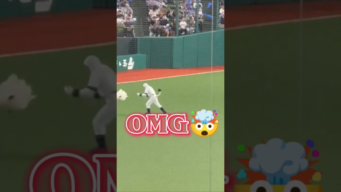 【悲報】　埼玉西武ライオンズのレオの頭がバク転で吹き飛ぶ珍プレー　#shorts #seibulions