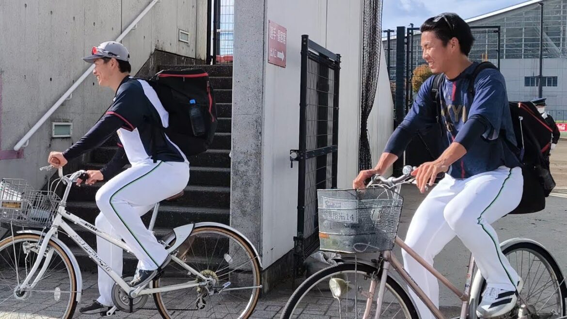 2025年東京ヤクルトスワローズ秋季キャンプ マドンナスタジアム 11/17(最終日)松山中央公園