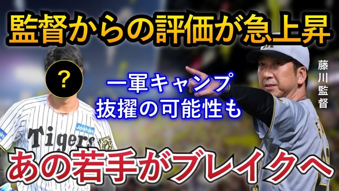 【1年で驚きの激変!】平田監督・藤川監督が揃って絶賛する苦労人・百崎が楽しみすぎる!一軍キャンプ抜擢は濃厚か【阪神タイガース】 【1年で驚きの激変!】平田監督・藤川監督が揃って絶賛する苦労人・百崎が楽しみすぎる!一軍キャンプ抜擢は濃厚か【阪神タイガース】