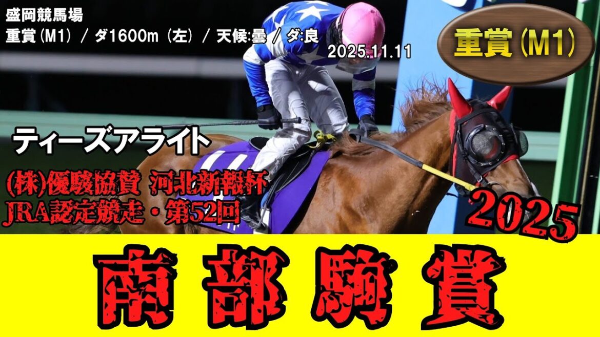 【競馬】 南部駒賞 （盛岡） 2025 / ティーズアライト