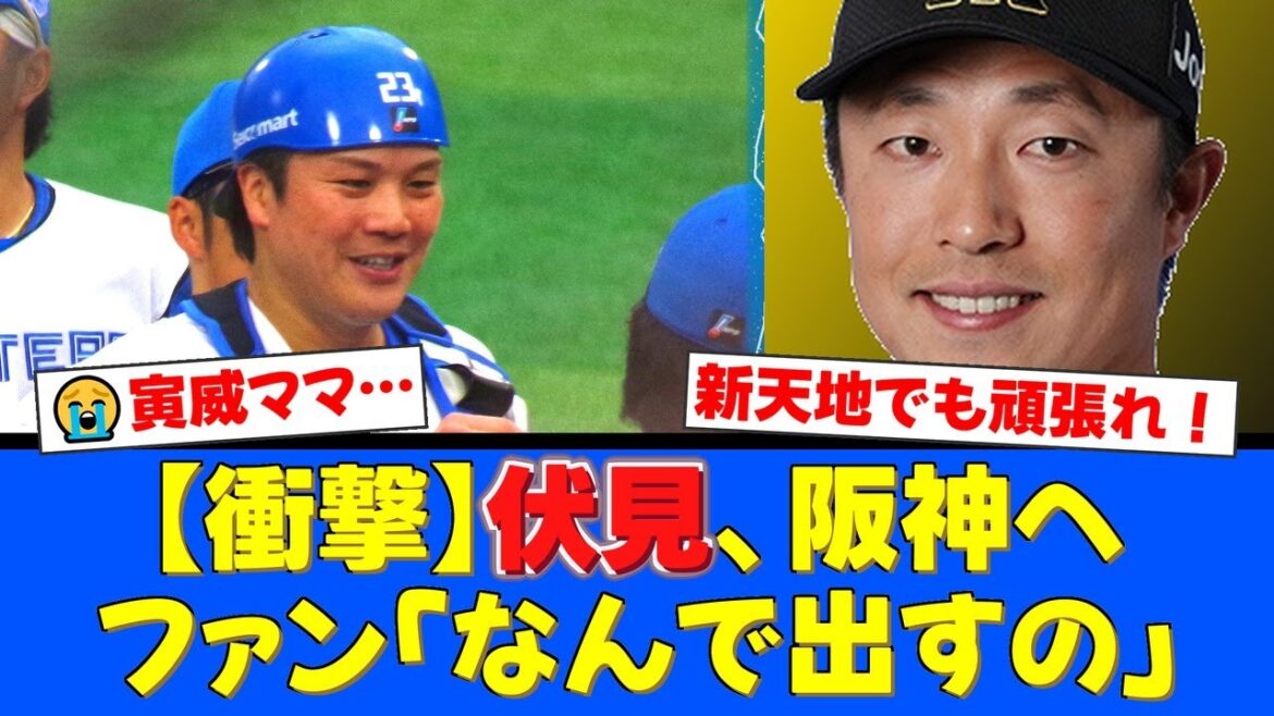【電撃トレード】FA加入の伏見寅威が阪神へ…ファンから衝撃と悲しみの声が殺到。見返りは左のリリーバー島本浩也、チームの弱点補強なるか【日本ハムファイターズ】【プロ野球ファンの反応】