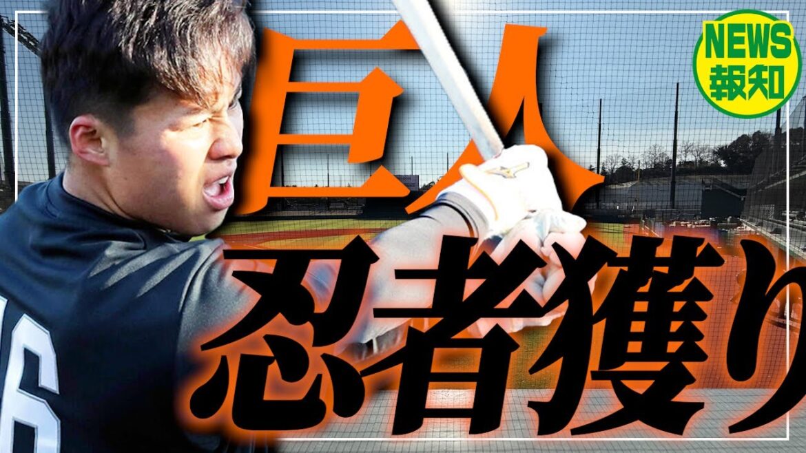 【俊足堅守】阿部巨人の補強第2弾…“機動力改革”の新たなピースへ「今宮2世」川原田を獲得【NEWS報知】 【俊足堅守】阿部巨人の補強第2弾…“機動力改革”の新たなピースへ「今宮2世」川原田を獲得【NEWS報知】
