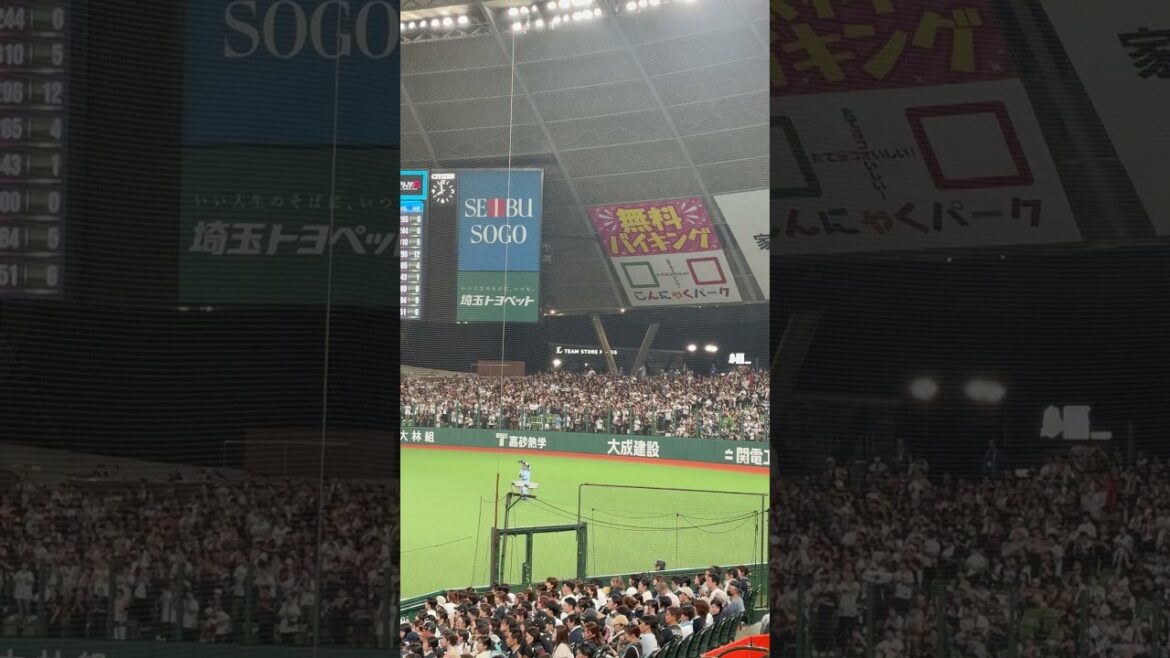 オリックスバファローズ「BuffaYell」(バファエール)