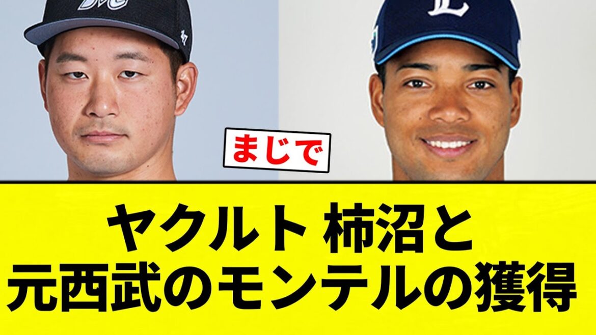 【獲得や！】ヤクルト 柿沼と元西武のモンテルの獲得【プロ野球反応集】【2chスレ】【なんG】