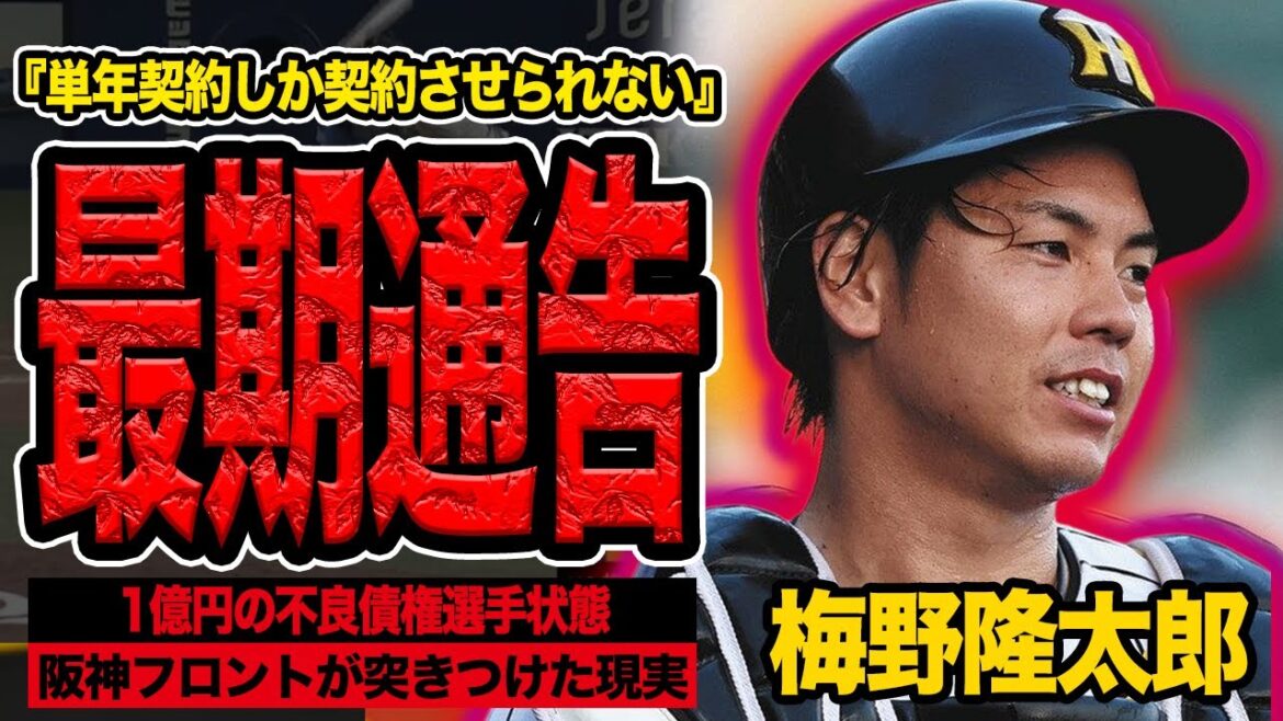 梅野隆太郎が最期通告、阪神退団秒読みの過酷な現状で言葉を失う！大幅減俸で単年契約、トレードで伏見加入と藤川監督が掲げた”次世代捕手の育成”…居場所がなくなった理由に絶句【プロ野球】