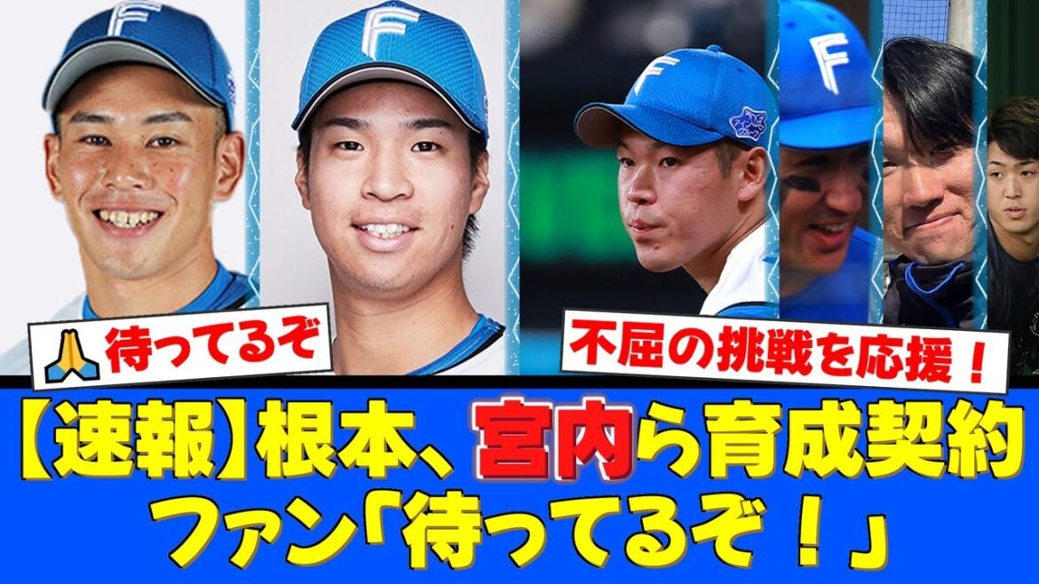 日本代表にも選ばれた根本悠楓、宮内春輝、松岡洸希らが育成契約へ。ファンからは「待ってるぞ」「ここから這い上がれ」と温かい声援が続々。【プロ野球ファンの反応】