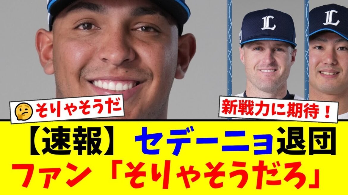 西武、助っ人セデーニョの退団を正式発表。ファンが「そりゃそうだろ」と納得する理由とは…？新助っ人・林安可の獲得報道とネビンの存在が決定打か【プロ野球ファンの反応】