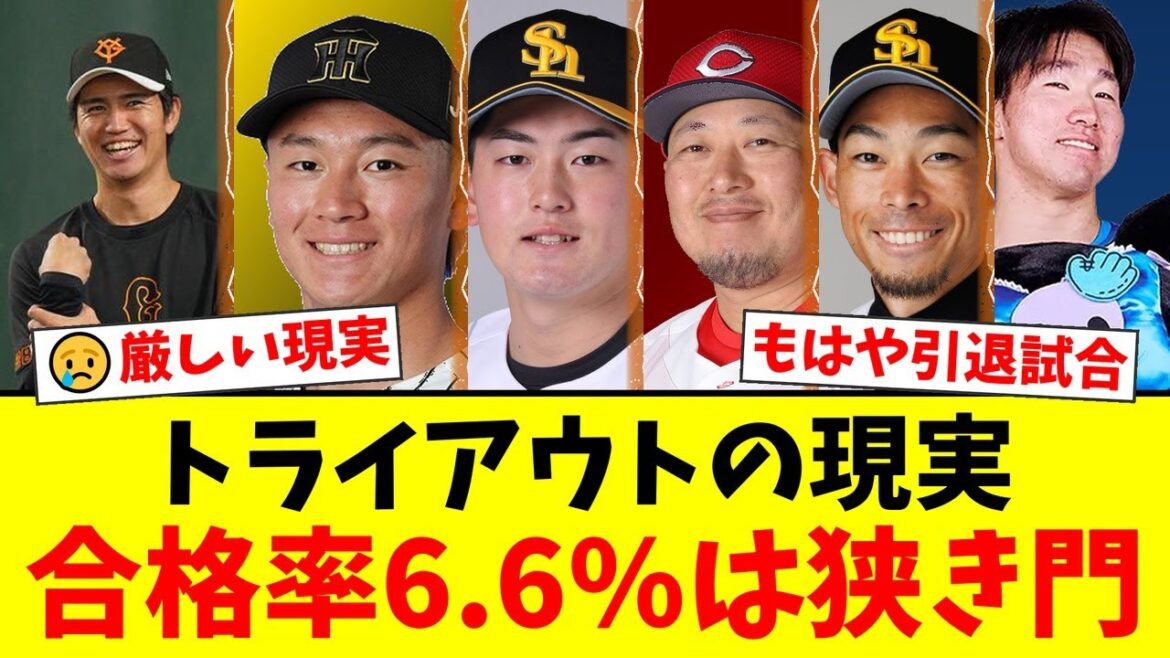 【悲報】プロ野球トライアウト、合格率わずか6.6%という厳しい現実にファン絶句…「もはや合同引退試合」の声も。巨人・高橋礼、阪神・森木大智ら実力者の今後は…【プロ野球ファンの反応】