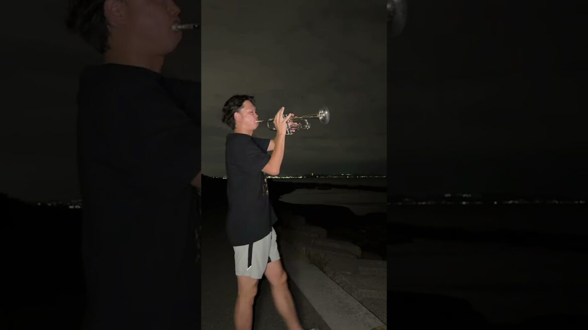 【不撓不屈】16年間お疲れ様でした。【原口文仁】応援歌は正にその野球道を描く！