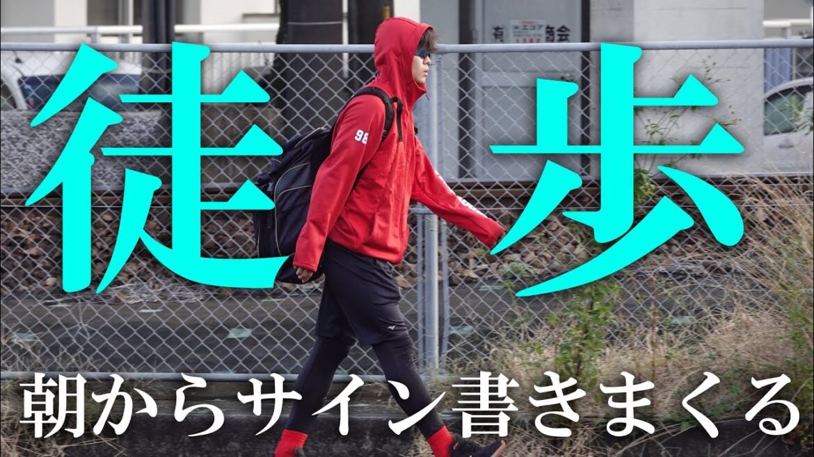 【日南市】広島東洋カープ秋季キャンプ #天福球場