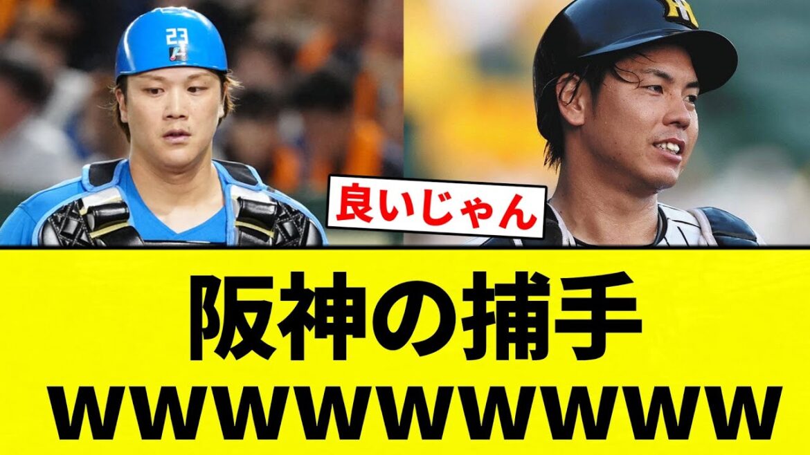 【これや！！】阪神の捕手wwwwwwwww【プロ野球反応集】【2chスレ】【なんG】