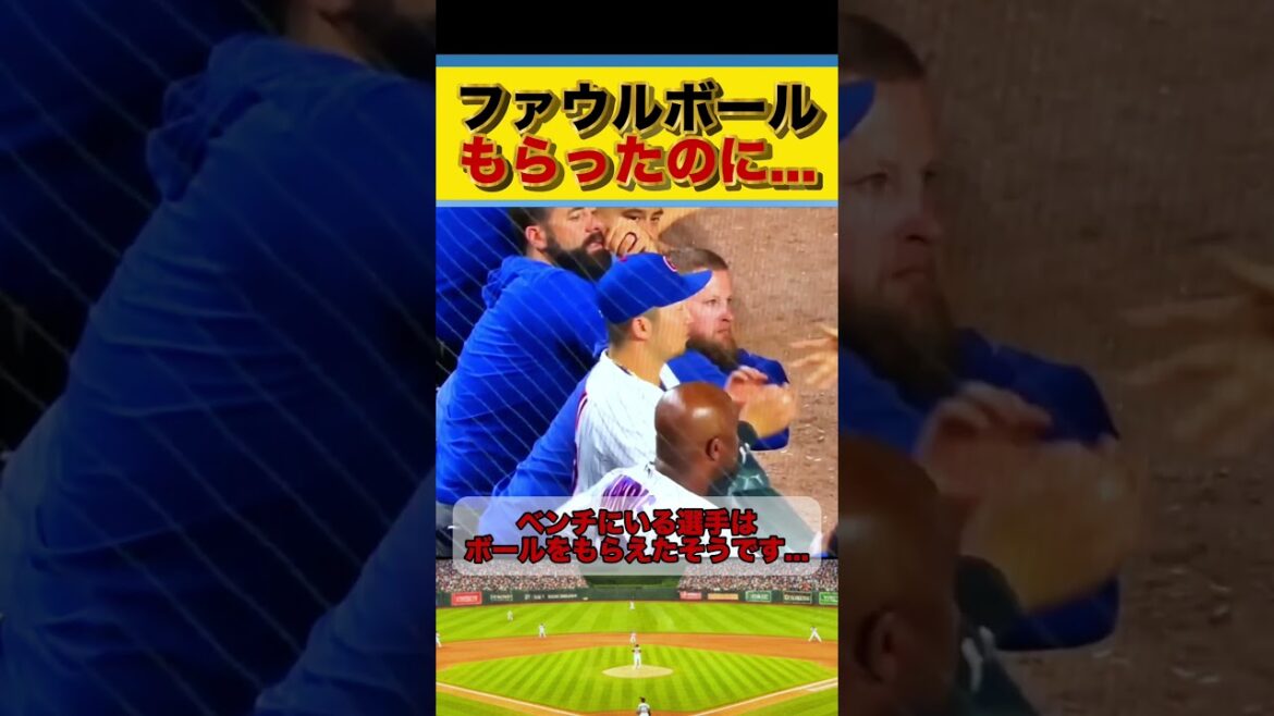 せっかくもらったのに　#鈴木誠也 #野球