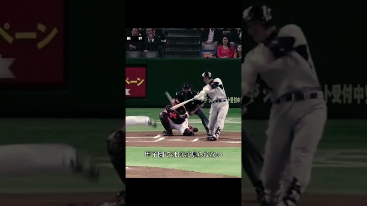 阪神タイガース版ドームラン #プロ野球