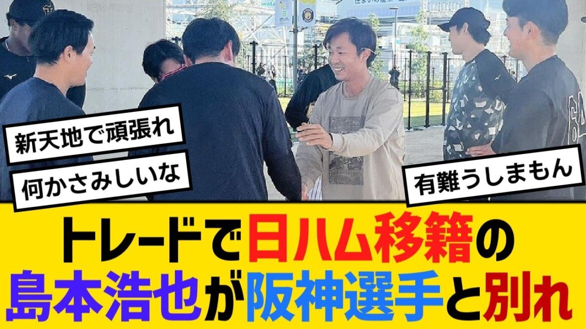 トレードで日ハム移籍の島本浩也が阪神選手と別れ【野球】【反応】【考察】