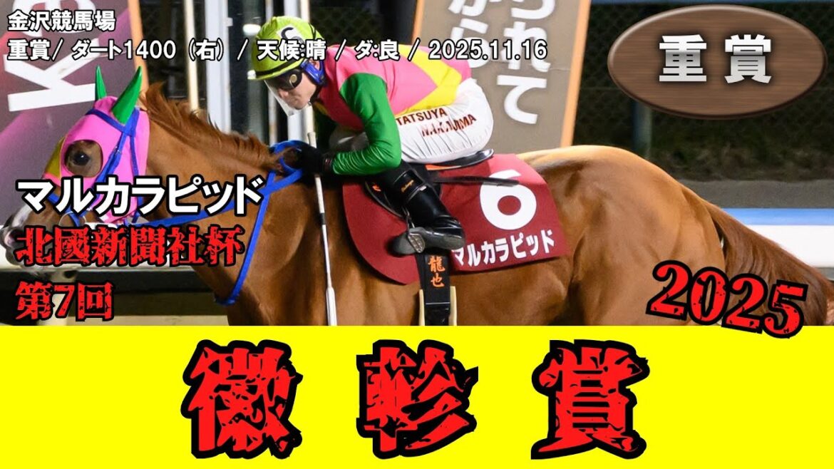 【競馬】 徽軫賞 (金沢) 2025 / マルカラピッド 【競馬】 徽軫賞 (金沢) 2025 / マルカラピッド