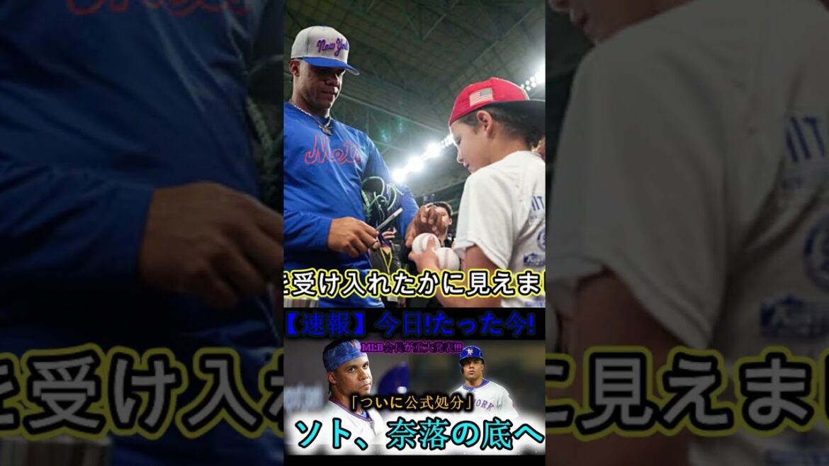Part 7 #wbc #baseballnews #baseballszn #sportsnews #中日ドラゴンズ Part 7 #wbc #baseballnews #baseballszn #sportsnews #中日ドラゴンズ