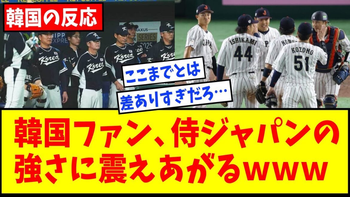 【韓国に１０連勝】韓国ファン、侍ジャパンの強さとイチローの言葉を思い出し震え上がるｗｗｗｗ【なんJ反応】【ネットの反応】