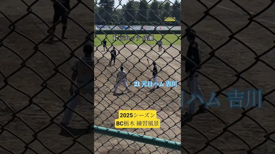 #野球 #baseball #プロ野球 #独立リーグ #bcリーグ #bc栃木 #栃木gb #千葉ロッテマリーンズ #日本ハムファイターズ #成瀬善久 #吉川光夫