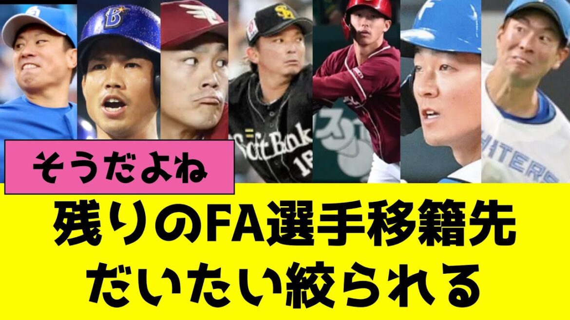 プロ野球2025年残りのFA選手の移籍先、だいたい絞られてきた