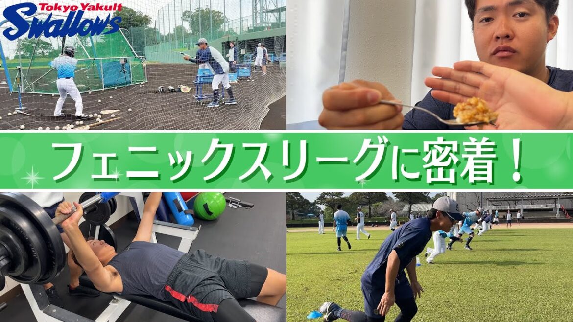 次世代スターの舞台裏!みやざきフェニックス・リーグに密着!!