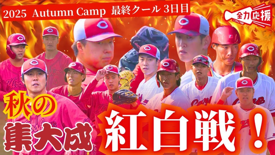 【秋の集大成】紅白戦🔥実践意識で経験積む！打でアピールしたのは！？【球団認定】カープ全力応援チャンネル