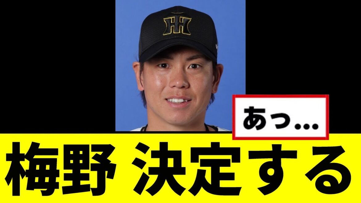 【阪神】梅野、決定するwwwww 【阪神】梅野、決定するwwwww