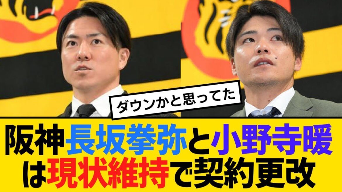 阪神長坂拳弥と小野寺暖は現状維持で契約更改【野球】【反応】【考察】