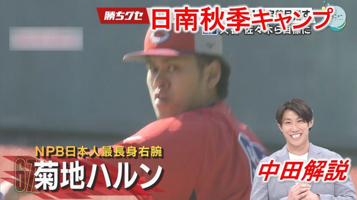 【Carp】菊地ハルン ビッグな右腕のビッグな目標 日南秋季キャンプ｜勝ちグセ｜カープ｜ピタニュー