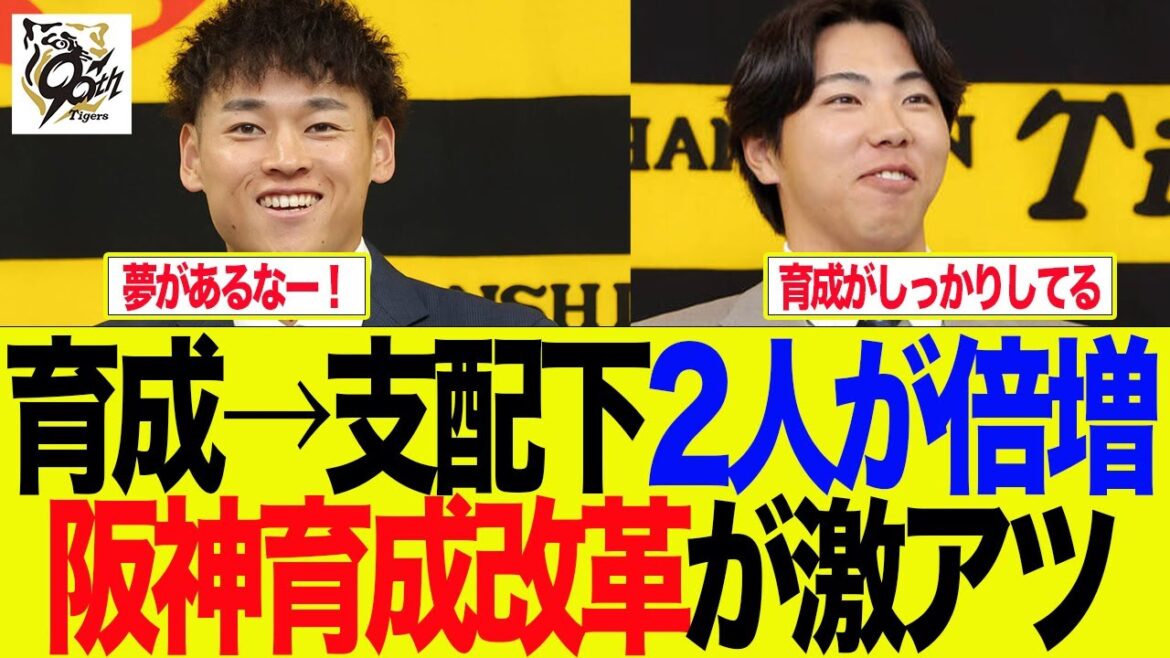 【阪神】育成→支配下2人が倍増 阪神育成改革が激アツ 阪神ファンの反応集 【阪神】育成→支配下2人が倍増 阪神育成改革が激アツ 阪神ファンの反応集