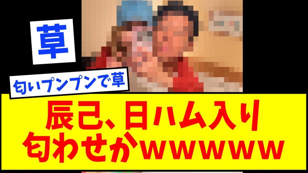 楽天・辰巳涼介、以前から日ハム入り匂わせか?wwwww【なんJ反応】【ネットの反応】 楽天・辰巳涼介、以前から日ハム入り匂わせか?wwwww【なんJ反応】【ネットの反応】