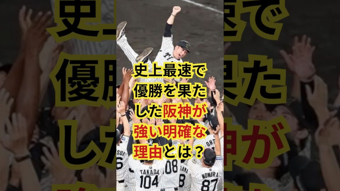阪神が強い明確な理由とは?#プロ野球 #sports #阪神タイガース 阪神が強い明確な理由とは?#プロ野球 #sports #阪神タイガース