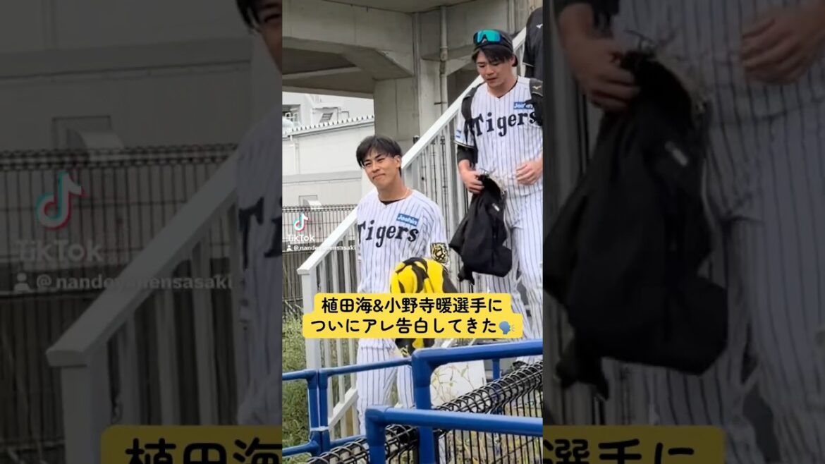 植田海選手についにアレを伝えてきた🗣️#阪神タイガース　#植田海　#小野寺暖　#阪神　#阪神ファン 2025/11/13
