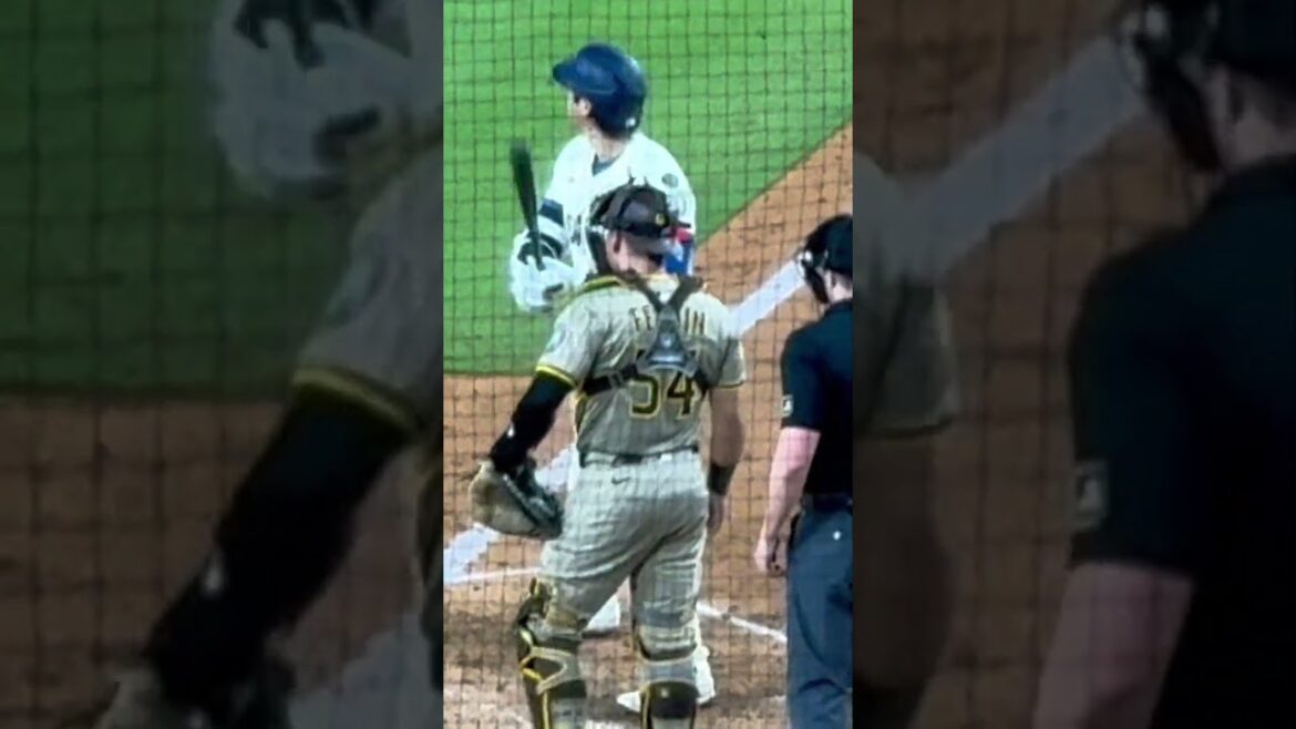 松井裕樹投手vsショウヘイ【1番DH・大谷翔平選手】ドジャースvsパドレス第2戦@ドジャー・スタジアム8/16/2025  #大谷翔平 #ohtani  #dodgers