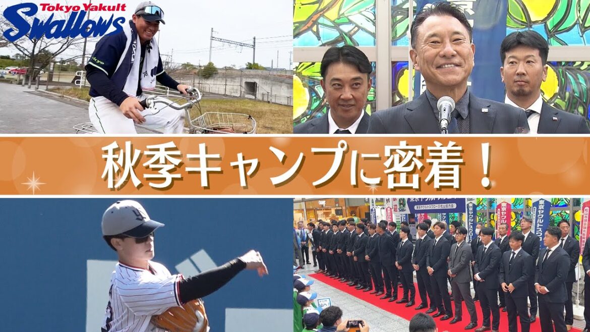 Tokyo-Yakult-Swallows: 池山新体制の秋季キャンプに密着!! 池山新体制の秋季キャンプに密着!!