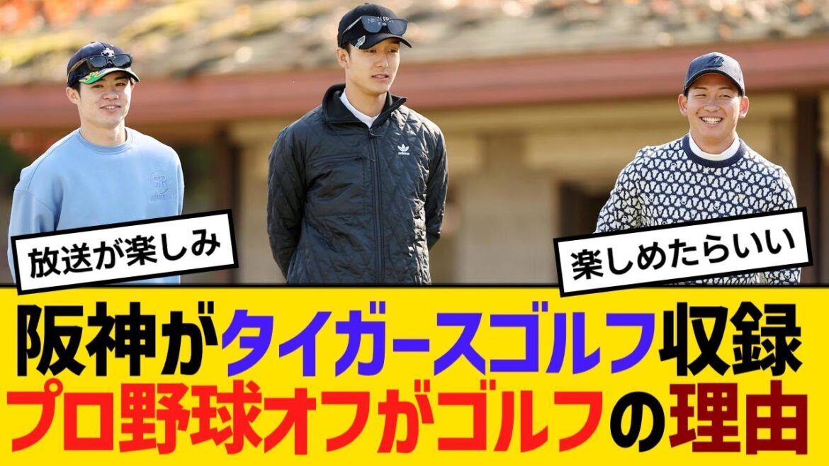 阪神がタイガースゴルフ収録、プロ野球オフがゴルフの理由とは?【野球】【反応】【考察】 阪神がタイガースゴルフ収録、プロ野球オフがゴルフの理由とは?【野球】【反応】【考察】