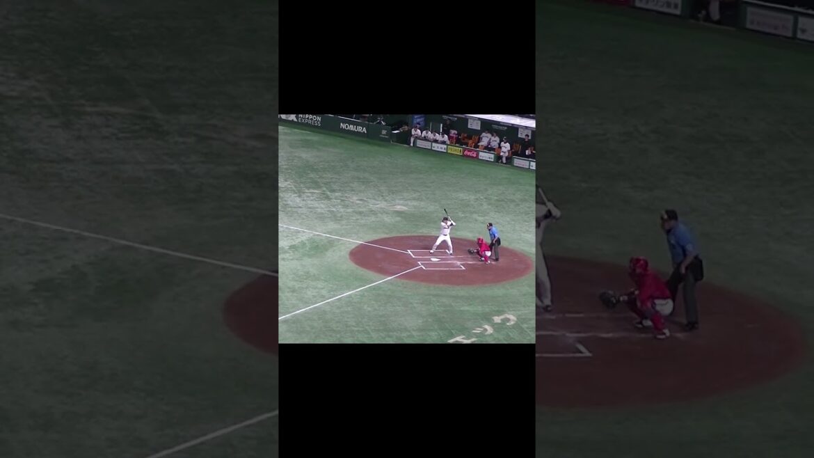 大城卓三のサードゴロ 田中広輔のサード守備（2024年6月28日読売ジャイアンツ対 広島カープ）