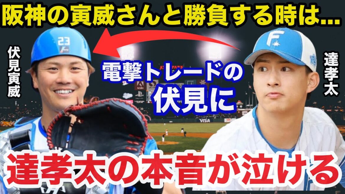 日ハム伏見寅威と阪神.島本浩也の電撃トレードに達孝太が放った偽りのない本音が泣ける【阪神タイガース/日本ハムファイターズ/プロ野球】