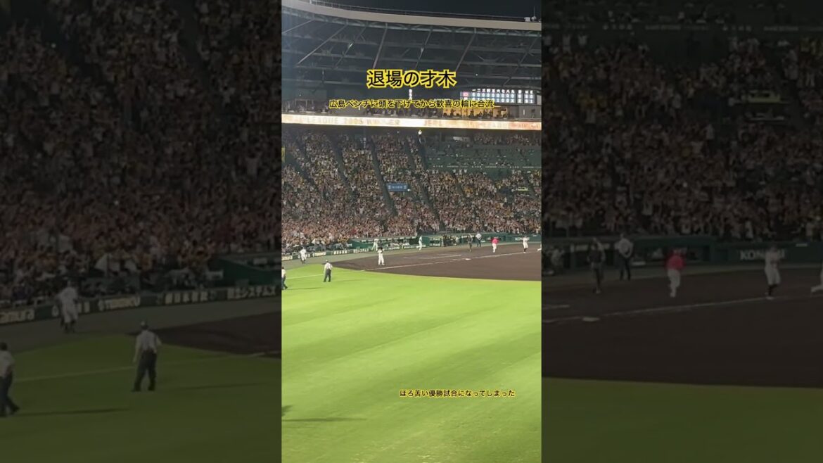 危険球退場の才木 広島ベンチに頭を下げてから歓喜の輪に合流 #才木浩人 #阪神タイガース #hanshintigers #甲子園 #プロ野球 #野球 #広島東洋カープ #石原貴規　#頭部死球