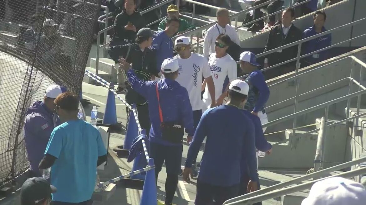 【中日ドラゴンズ 秋季キャンプ 2025】 細川成也選手・ブライト健太選手・橋本侑樹投手 ・梅野雄吾投手・勝野昌慶投手・福元悠真選手の階段トレーニングの様子 ⑤ 2025/11/15 ナゴヤ球場