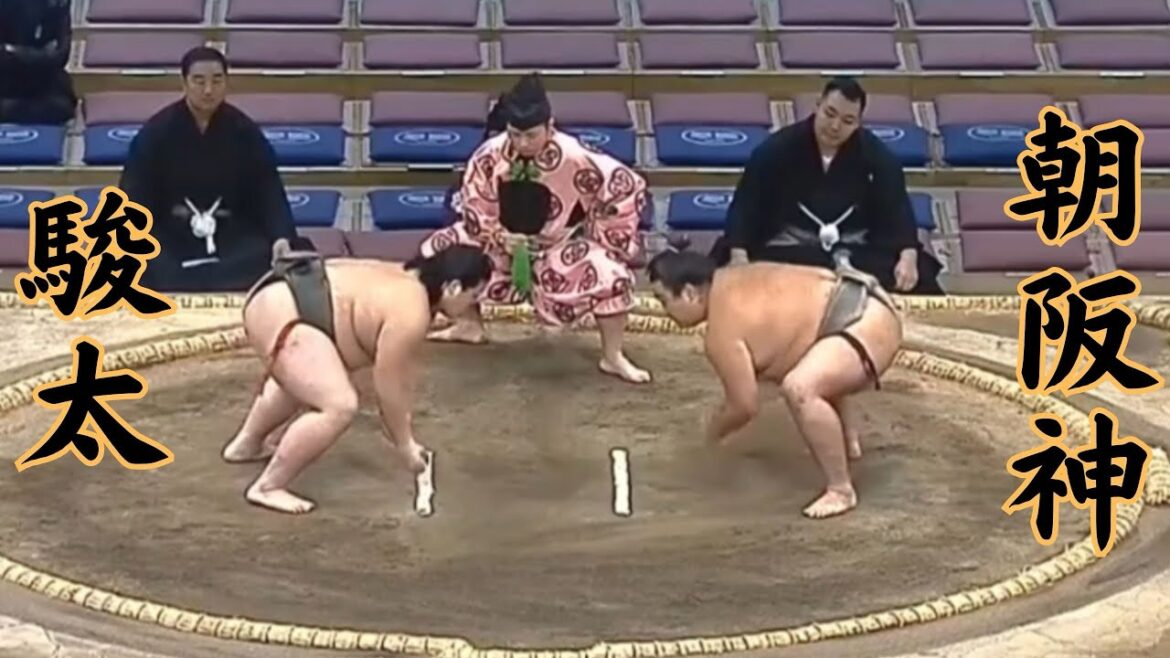 駿太VS朝阪神 令和7年11月場所12日目 #sumo #相撲