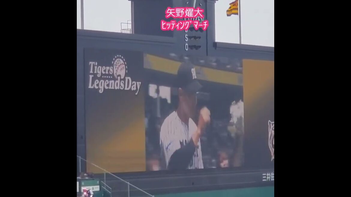 20250622　ﾚｼﾞｪﾝｽﾞﾃﾞｰ試合前に流れる【#矢野燿大】ﾋｯﾃｨﾝｸﾞﾏｰﾁ　#shorts　阪神ﾀｲｶﾞｰｽ　応援歌　矢野輝弘@阪神甲子園球場･ﾚﾌﾄ外野 日本生命ｾ･ﾊﾟ交流戦