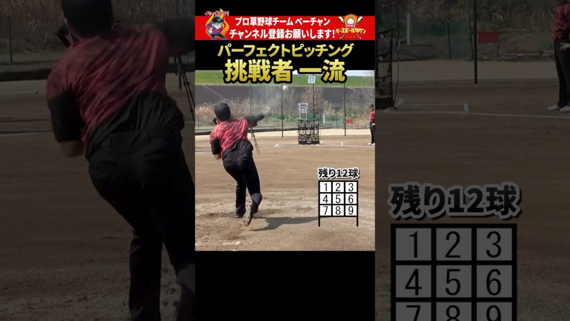 パーフェクトピッチングに挑戦！ 一流編 #野球 #ベーチャン! #ベースボールタウン #BBCH #プロ草野球 #ストラックアウト #コントロール #スポーツ #shorts #SAVEベーチャン