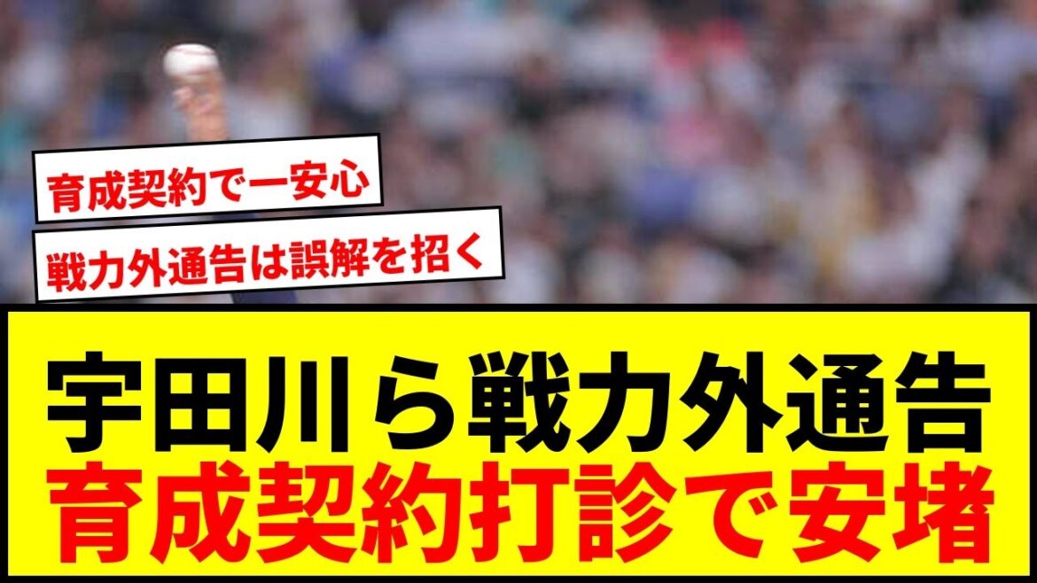 【速報】オリックス宇田川優希ら4選手に戦力外通告!育成契約打診でファン安堵 【速報】オリックス宇田川優希ら4選手に戦力外通告!育成契約打診でファン安堵