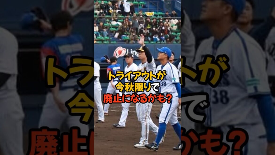 トライアウトが遂に終了してしまうかもしれない理由がヤバい… トライアウトが遂に終了してしまうかもしれない理由がヤバい...