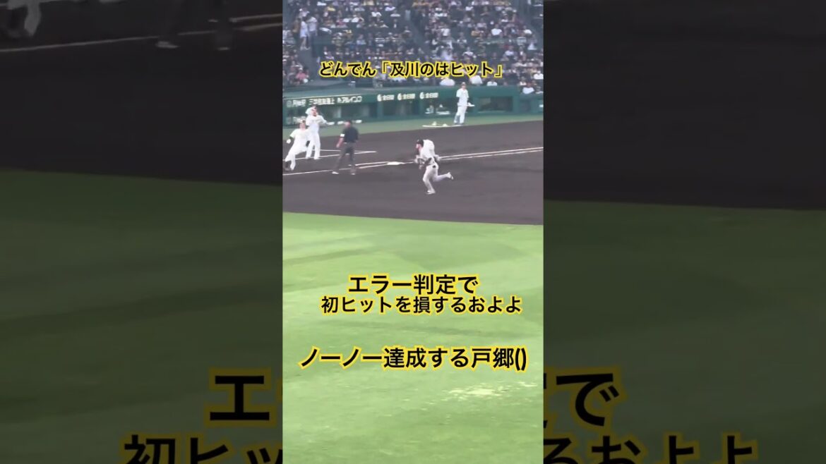 解説どんでん「及川のはヒット」 初ヒットを損するおよよ ノーノー達成する戸郷 #岡田彰布 #どんでん #及川雅貴 #戸郷翔征 #ノーノー #ノーヒットノーラン 再掲 24.5.24
