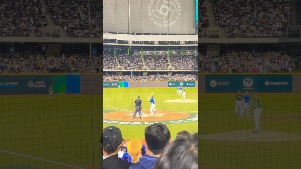 chinese taipei baseball  WBCQ 吳念庭打擊 台灣尚勇 #棒球 #吳念庭 #台灣尚勇 #wbcq #中華隊