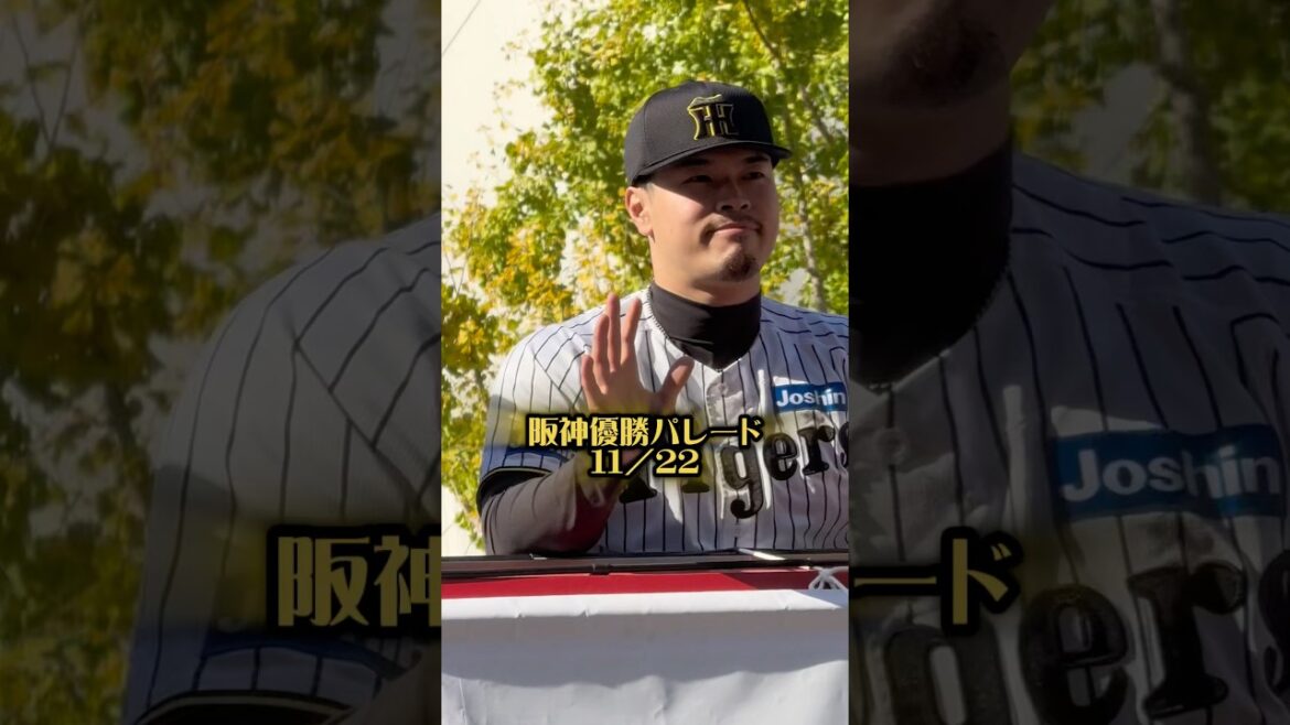 阪神優勝パレード25/11/22 #阪神タイガース #阪神 #阪神ファン #パレード #プロ野球 #佐藤輝明 #大山悠輔 #中野拓夢 #岩崎優 #木浪聖也 #坂本誠志郎 #糸原健斗 #御堂筋 #優勝